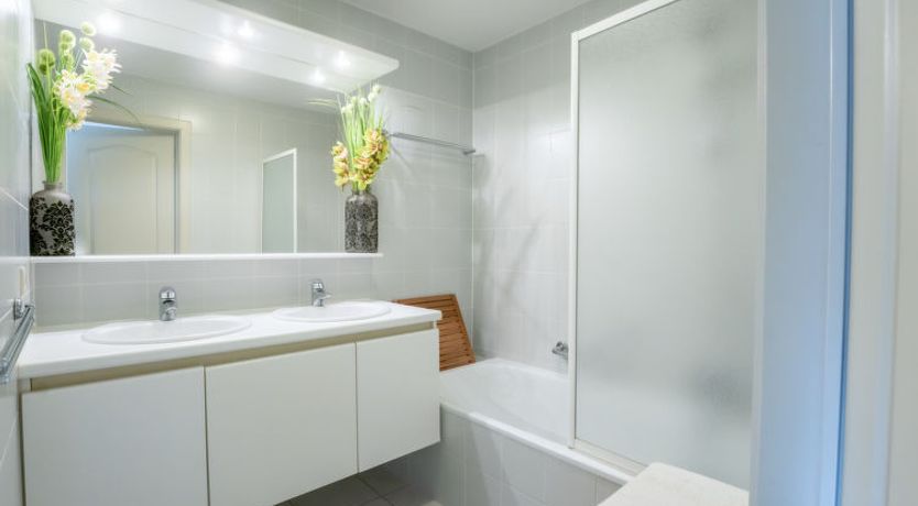 Photo of Flipper nearby the beach