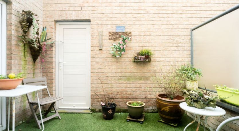 Photo of De tulp - romantic