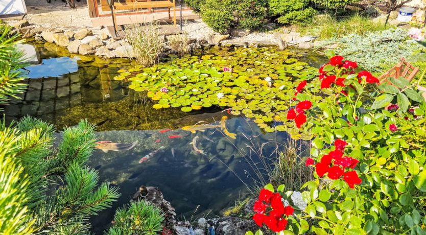 Photo of Vrbová Lhota U Aničky