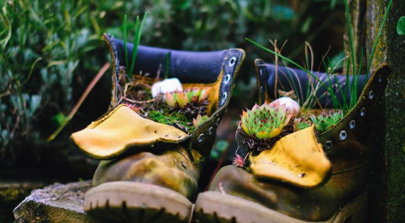 Photo of Podhamer Holiday Home 2