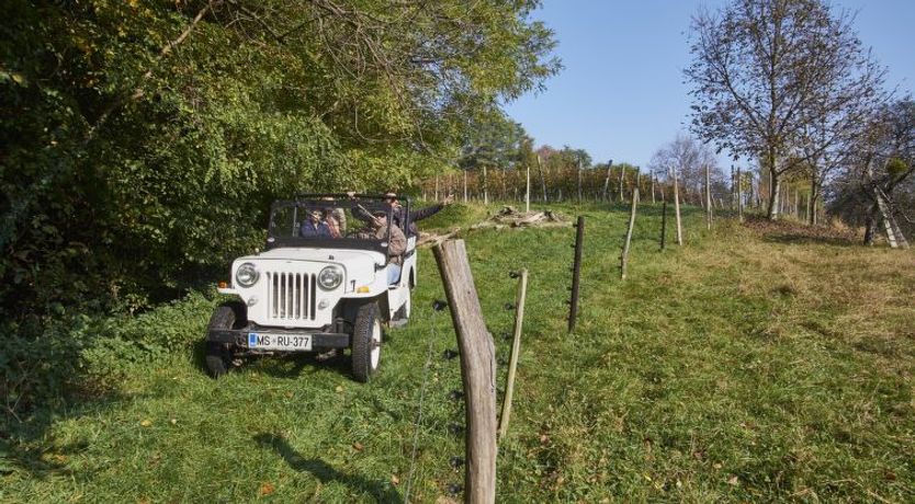 Photo of Podhamer Holiday Home 2