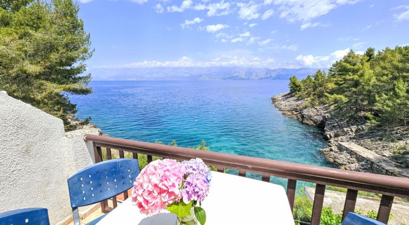 Photo of Octopus Apartment 3