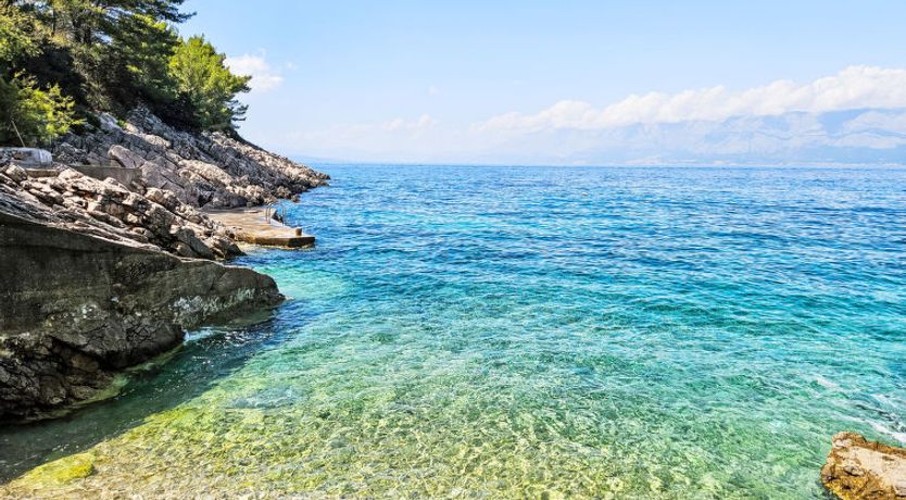 Photo of Octopus Apartment 3