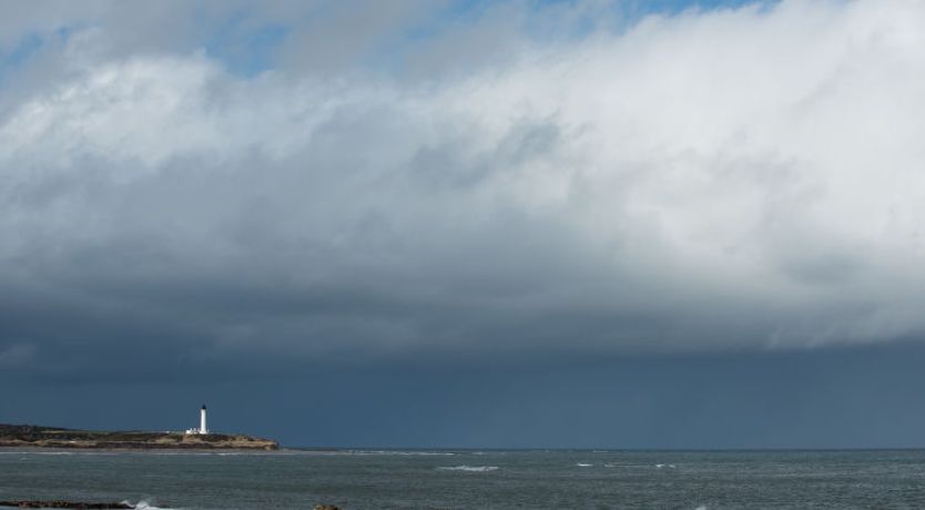 Photo of Harbour Nights 4