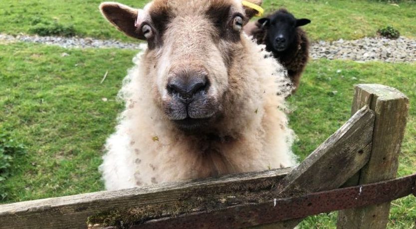 Photo of Rivers Reach