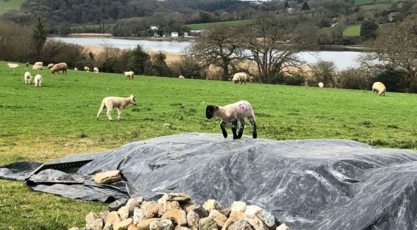 Photo of Rivers Reach