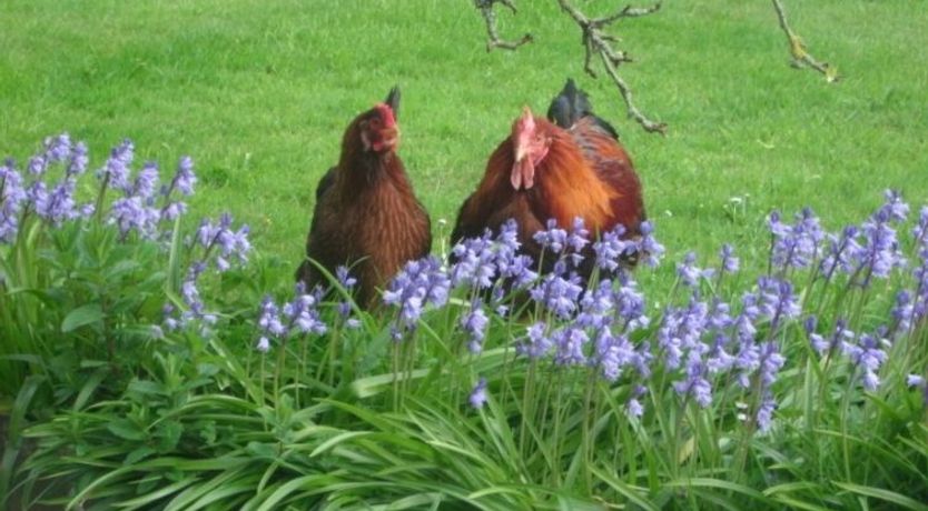 Photo of Rivers Reach