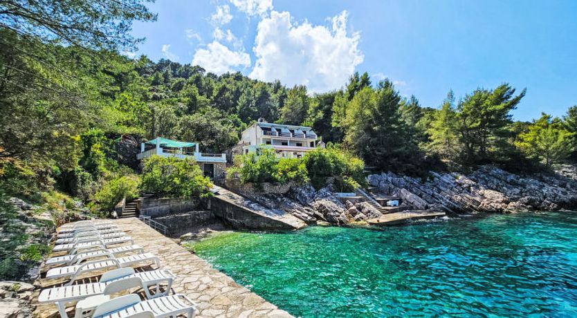 Photo of Octopus Apartment 2