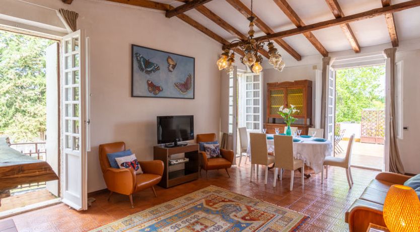 Photo of Bouganville