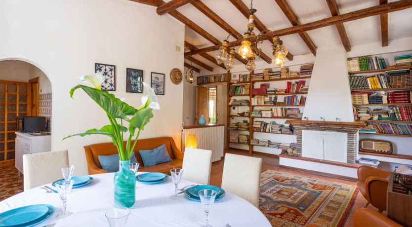 Photo of Bouganville