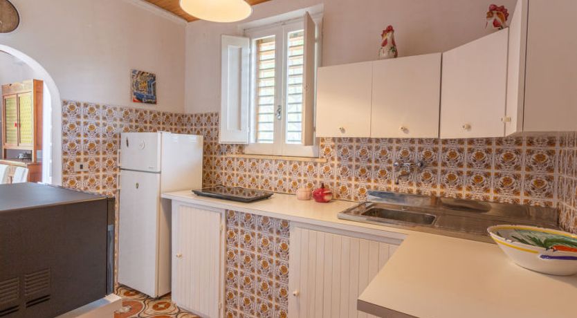 Photo of Bouganville