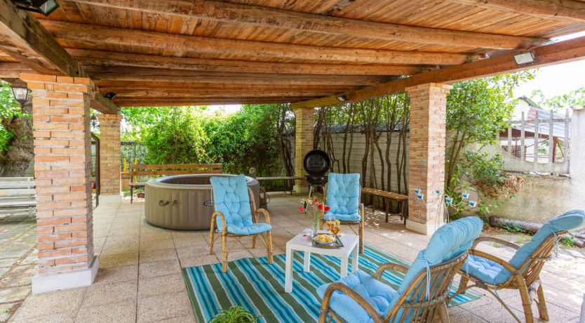 Photo of Bouganville