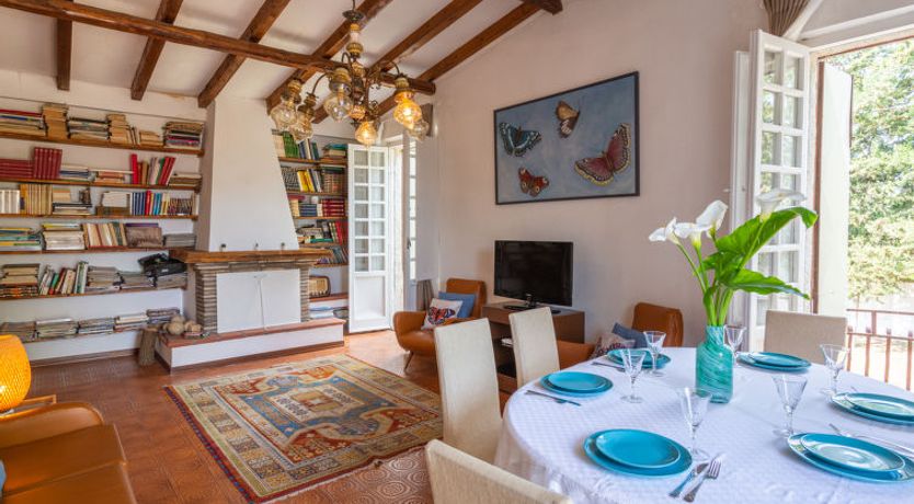 Photo of Bouganville