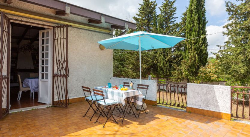 Photo of Bouganville