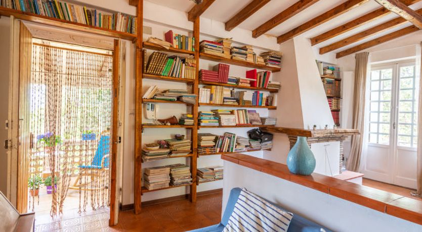 Photo of Bouganville