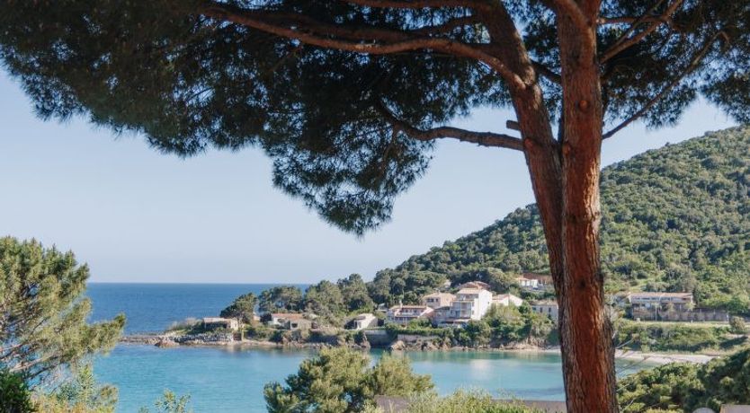 Photo of Le Télémaque 3 pièces mezzanine Apartment 2