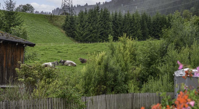 Photo of Schöngraben