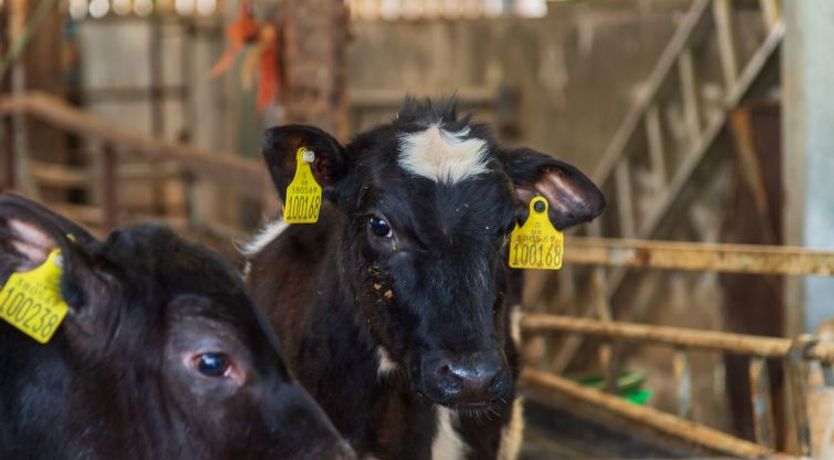 Photo of Lodge 2 - Hot Tub