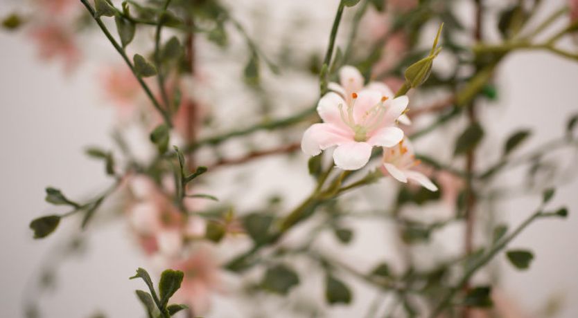 Photo of Harbour Nights Deluxe 7B