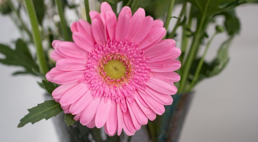 Photo of Harbour Nights Deluxe 7B