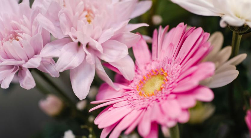 Photo of Harbour Nights Deluxe 7B