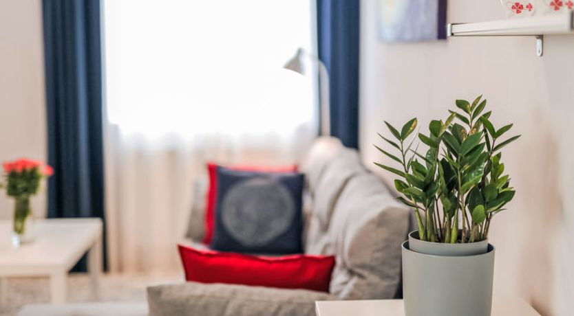 Photo of Schober Apartment 9