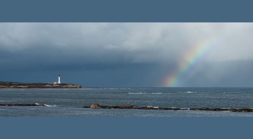 Photo of Harbour Nights Deluxe 7C