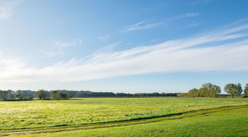 Photo of Wiesenblick