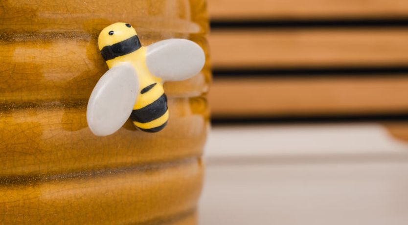 Photo of Caledonia Lodge