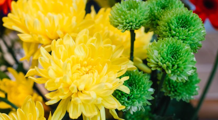 Photo of Caledonia Lodge