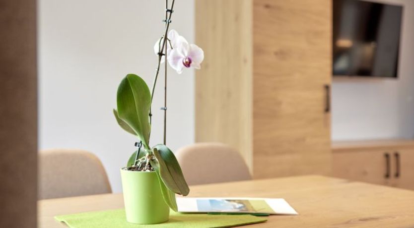 Photo of Apart Hanna am Hannesnhof Apartment 2