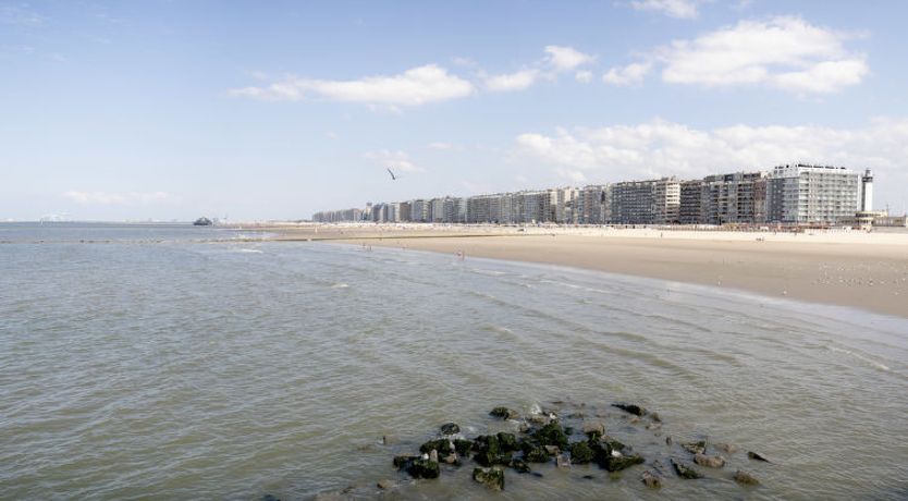 Photo of Centrally located "Key Point"