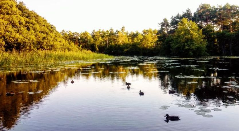 Photo of Z Bali Góral Apartment 2