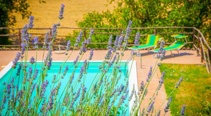 Photo of Tra Cielo e Terra