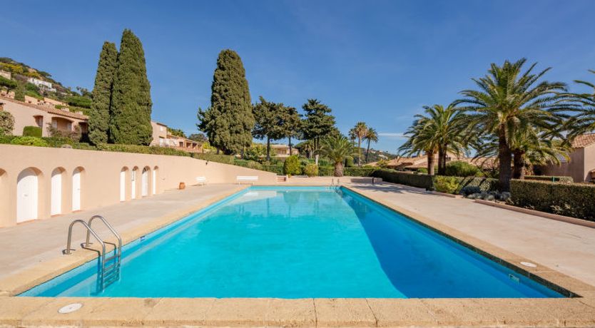 Photo of El Cantarello