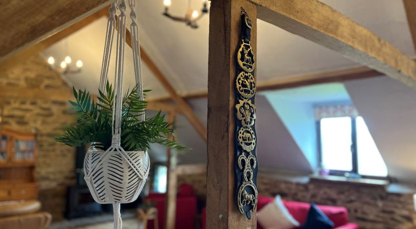 Photo of Jasper and Smiddy - joint booking