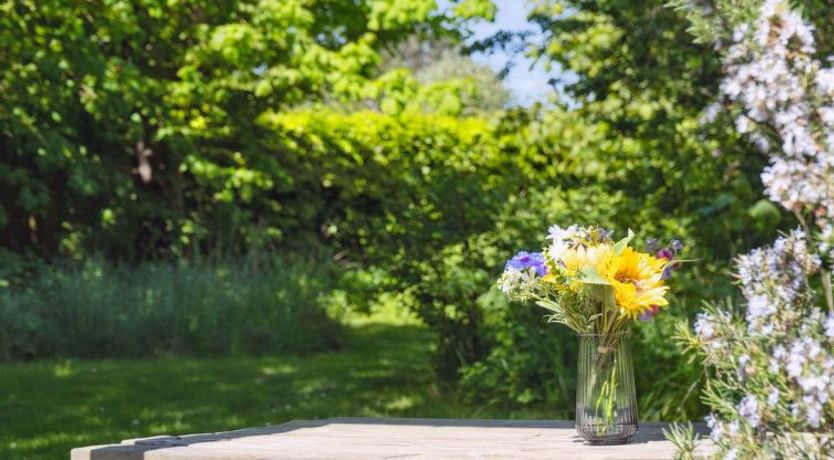 Photo of "Deljan" - 200m from the sea