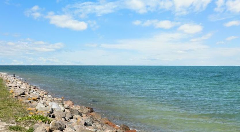 Photo of "Doris" - 150m from the sea