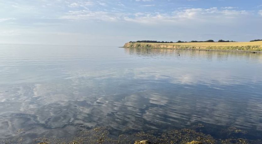 Photo of "Mari" - 150m from the sea