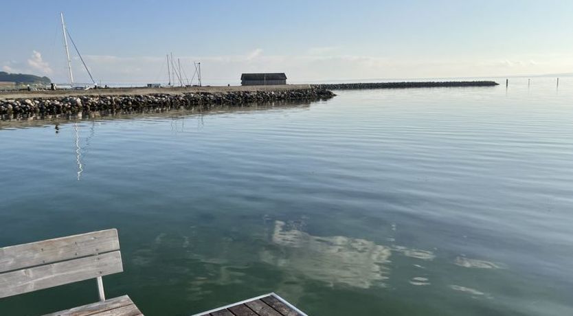 Photo of "Mari" - 150m from the sea