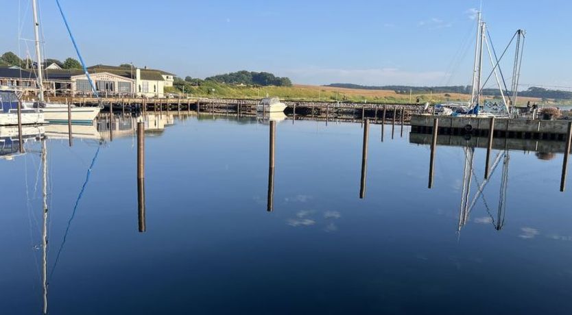 Photo of "Mari" - 150m from the sea