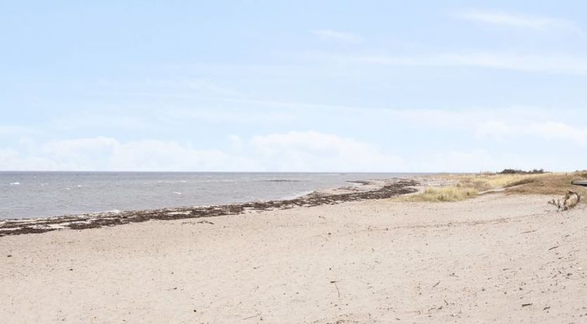 Photo of "Akira" - 250m from the sea