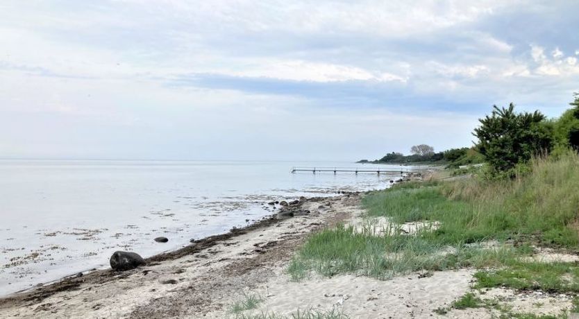 Photo of "Bjart" - 150m from the sea