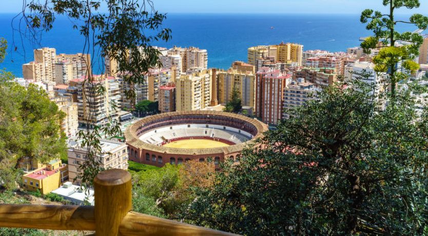 Photo of Malaga Pacifico