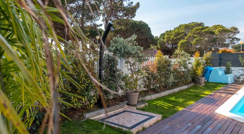 Photo of Pine & Sands