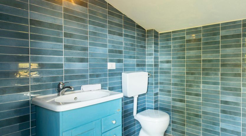 Photo of Tuscan Nightingale