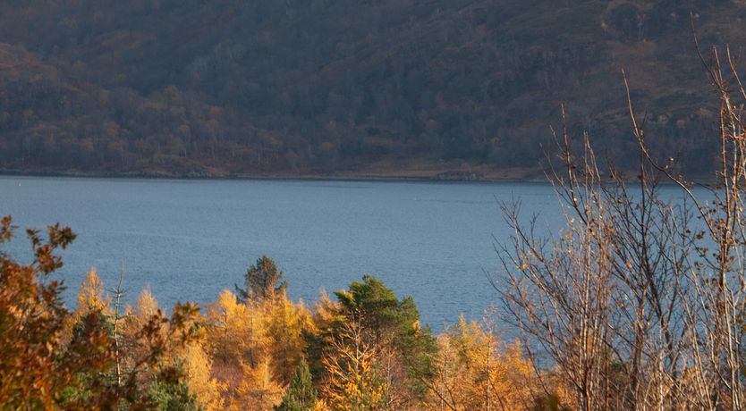 Photo of Fireside Dram