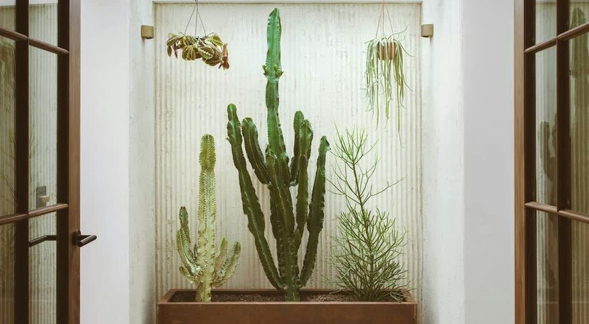 Photo of Modern House