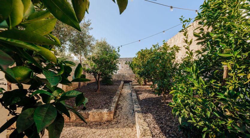 Photo of Sunshine & Citrus