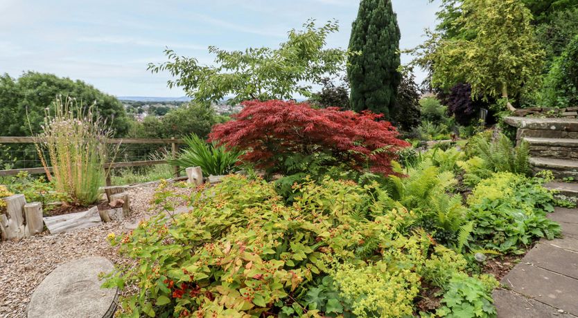 Photo of An Emerald Escape